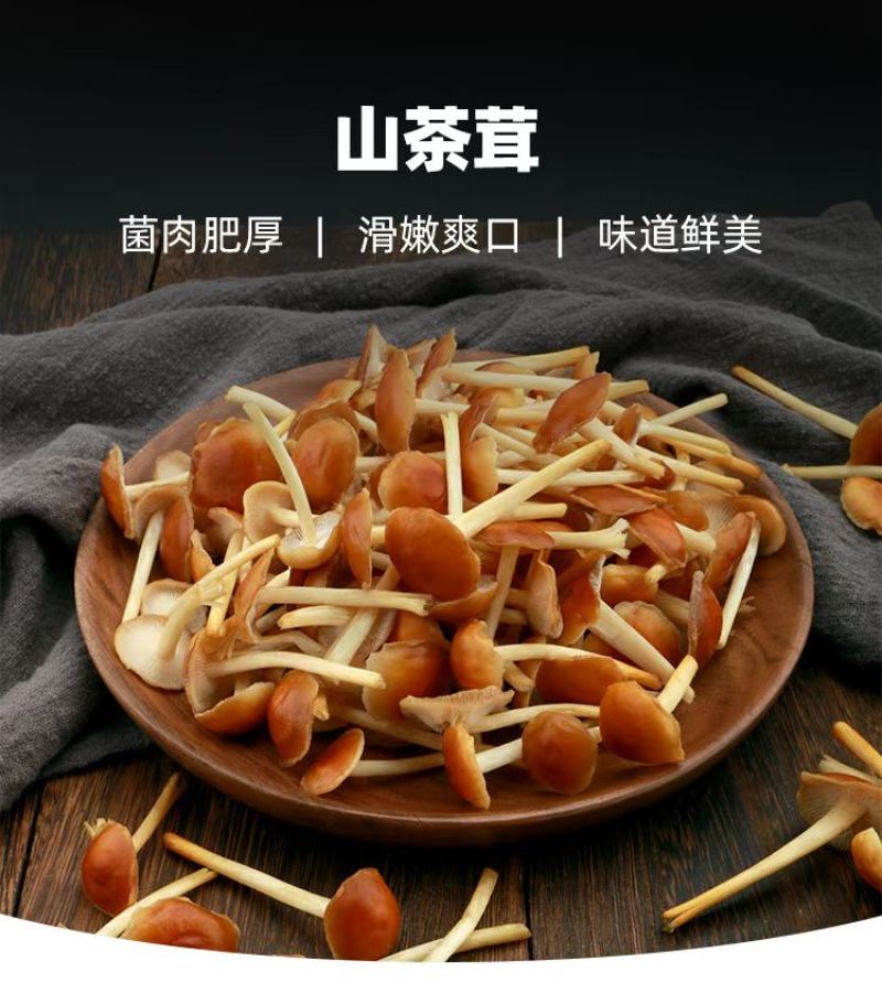 山茶茸大量产新，产地直发，品质保证，服务周到，诚信经营