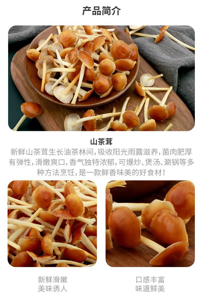 山茶茸大量产新，产地直发，品质保证，服务周到，诚信经营