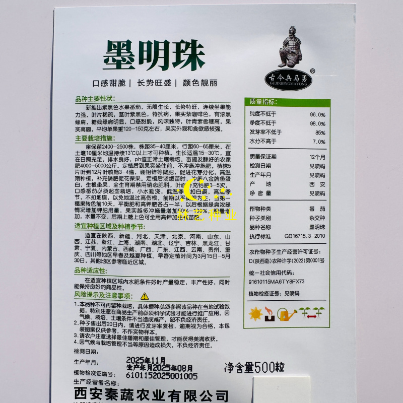 墨明珠一代杂交紫黑色水果番茄种子无限生长型有浓黑绿肩