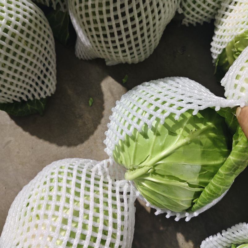 湖北荆门钟祥市直发中甘甘蓝整车批发可按需配货欢迎咨询