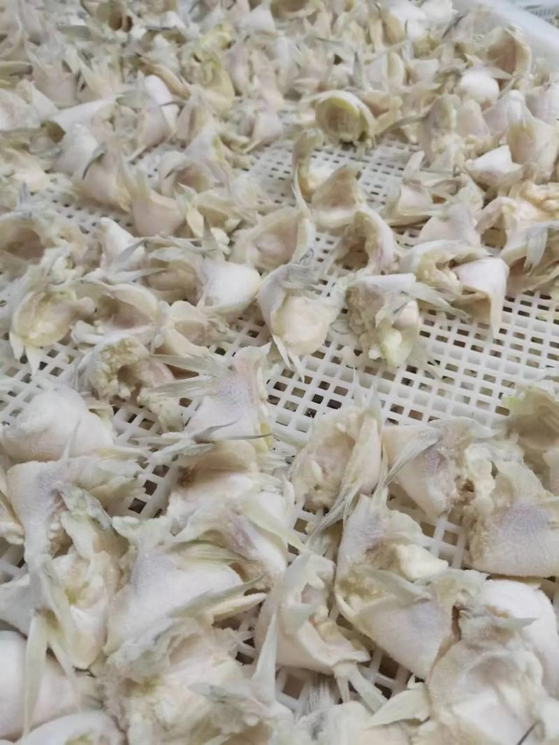 新鲜鲈鱼翅鲈鱼下巴