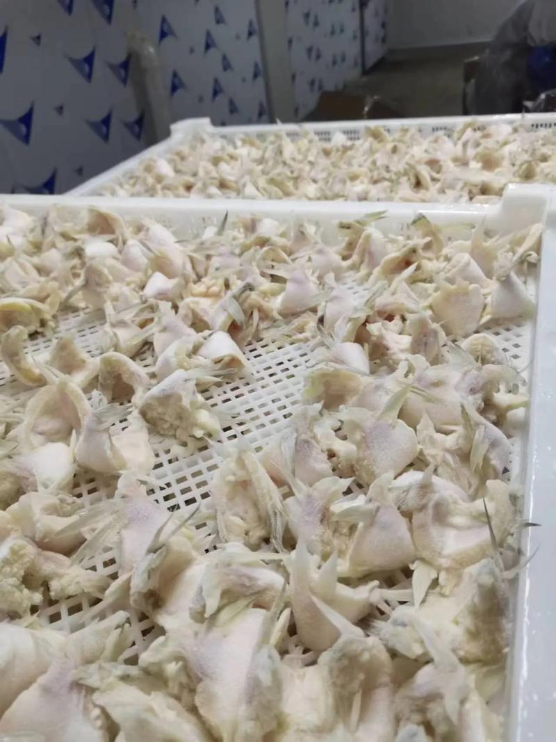 新鲜鲈鱼翅鲈鱼下巴