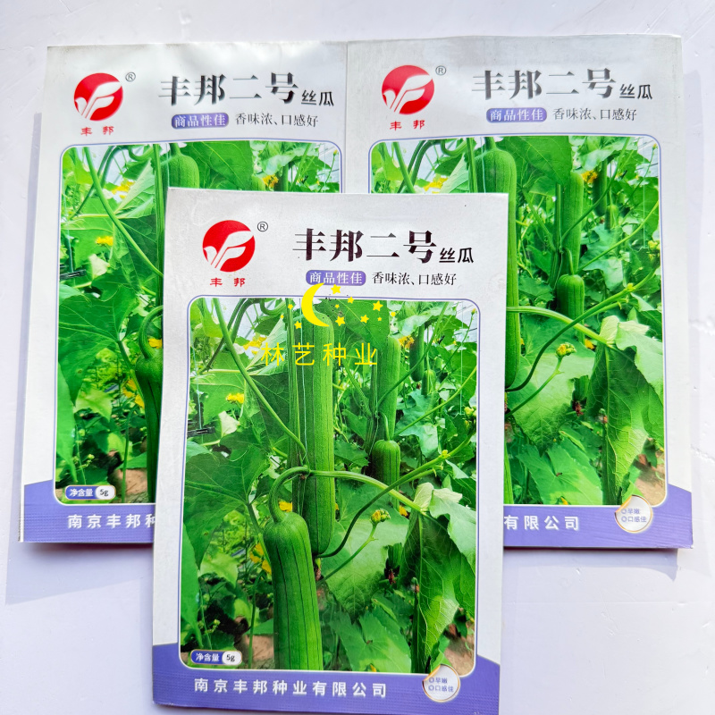 丰邦二号丝瓜种子早熟瓜皮绿色油亮肉厚味浓口感好春夏秋丝瓜