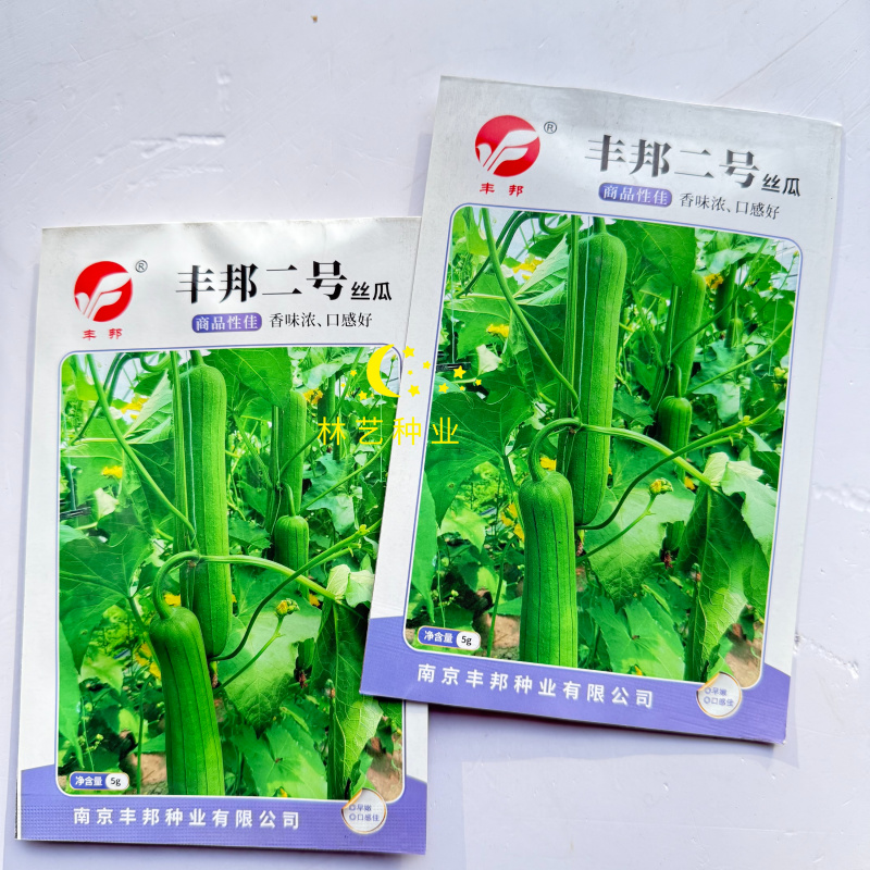丰邦二号丝瓜种子早熟瓜皮绿色油亮肉厚味浓口感好春夏秋丝瓜