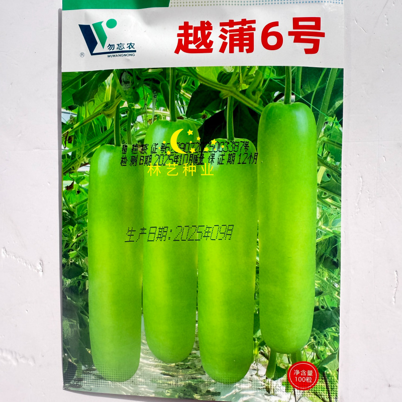 越蒲6号瓠瓜种子早熟高产短棒型瓠瓜种籽色泽亮品质好春夏秋