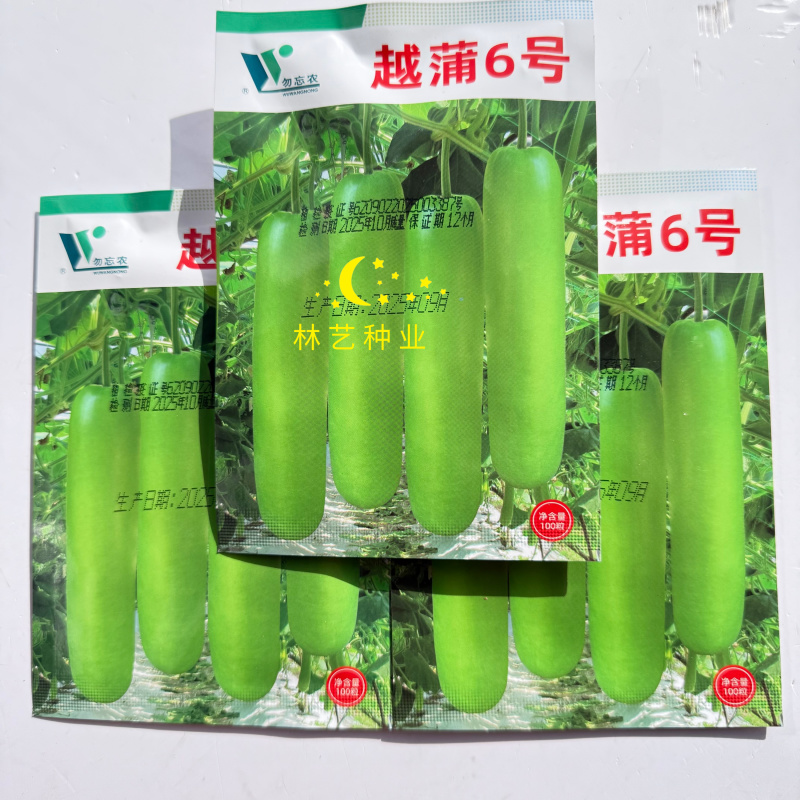 越蒲6号瓠瓜种子早熟高产短棒型瓠瓜种籽色泽亮品质好春夏秋