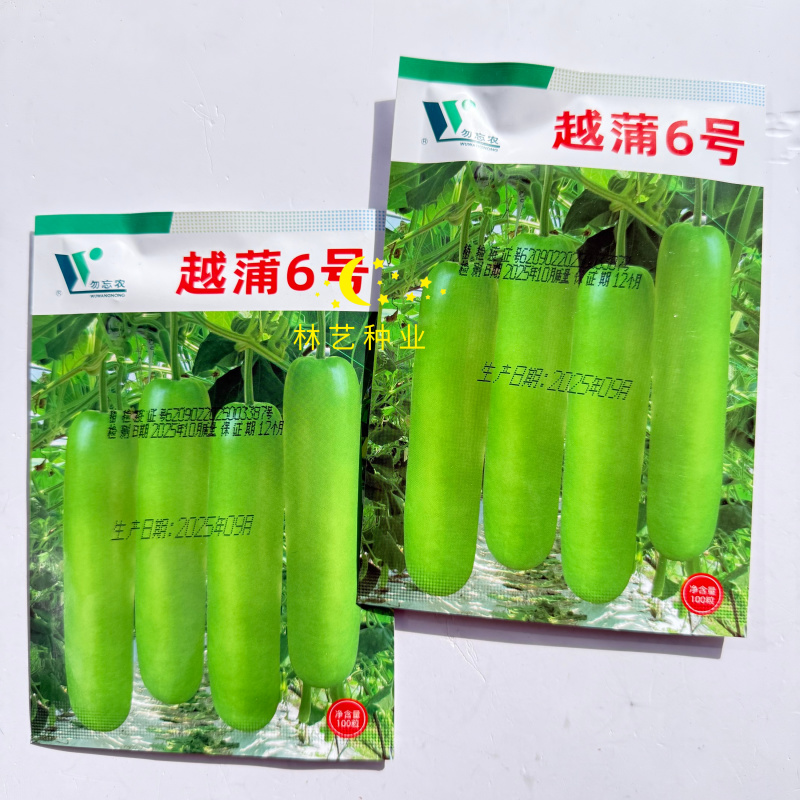 越蒲6号瓠瓜种子早熟高产短棒型瓠瓜种籽色泽亮品质好春夏秋