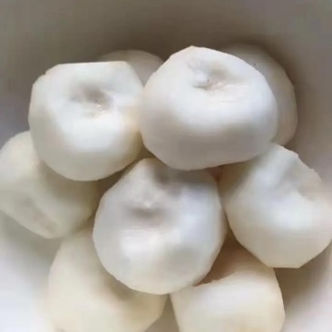 正品荔浦马蹄口感好清甜可口