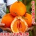 四川现摘粑粑柑正宗粑粑柑