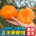 四川现摘粑粑柑正宗粑粑柑