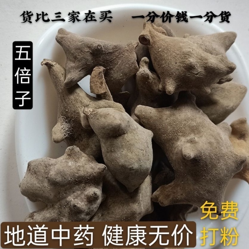 五倍子冷背中药材大全批发零售货真价实假一赔十