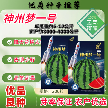 神州梦一号西瓜种子