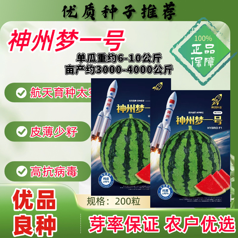 神州梦一号西瓜种子