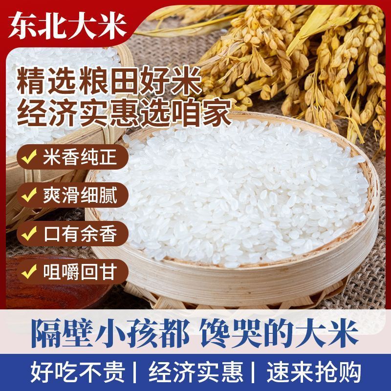 正宗东北大米10斤黑龙江大米东北长粒香米精选