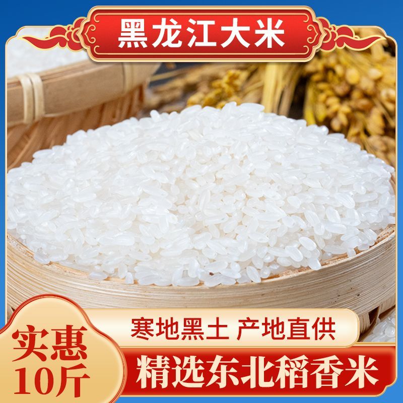 正宗东北大米10斤黑龙江大米东北长粒香米精选