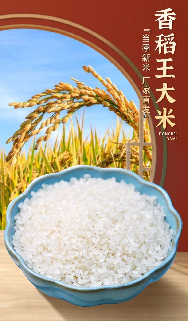 10斤正宗东北稻花花香10斤厂家直发