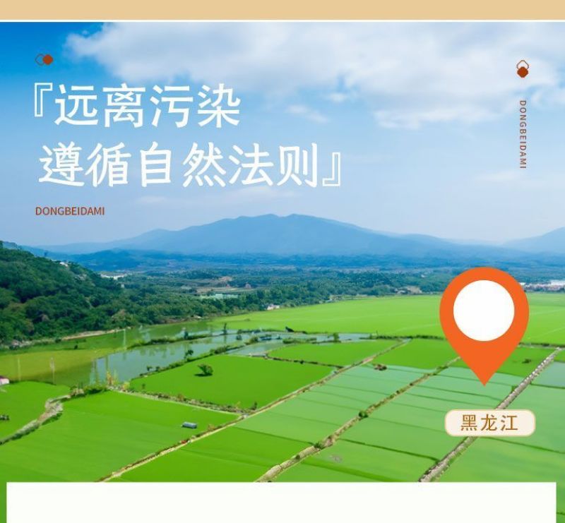 10斤正宗东北稻花花香10斤厂家直发