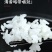10斤正宗东北稻花花香10斤厂家直发