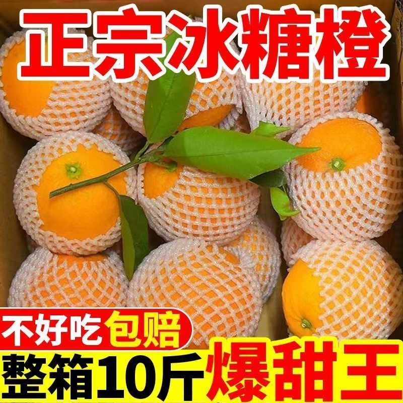 麻阳冰糖橙果冻橙甜橙高山蜂蜜橙一件代发包邮价