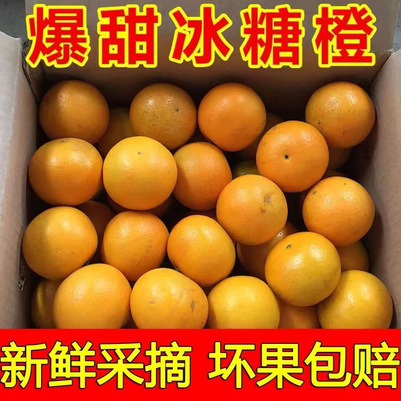 麻阳冰糖橙果冻橙甜橙高山蜂蜜橙一件代发包邮价