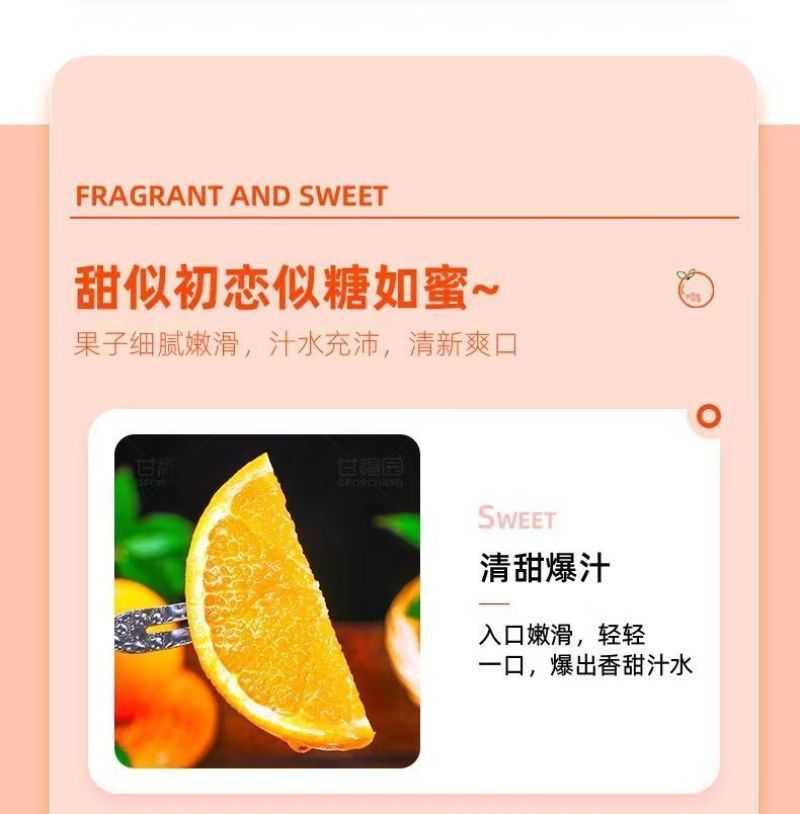 麻阳冰糖橙果冻橙甜橙高山蜂蜜橙一件代发包邮价