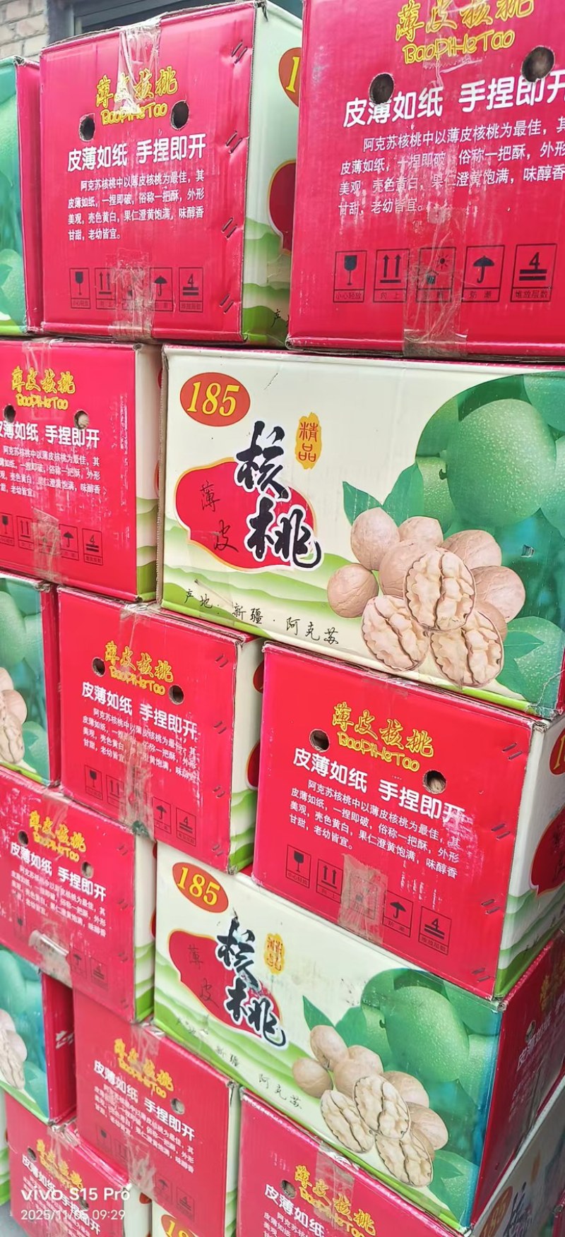 新二薄皮核桃一手货源全国发货量大价优欢迎随时联系