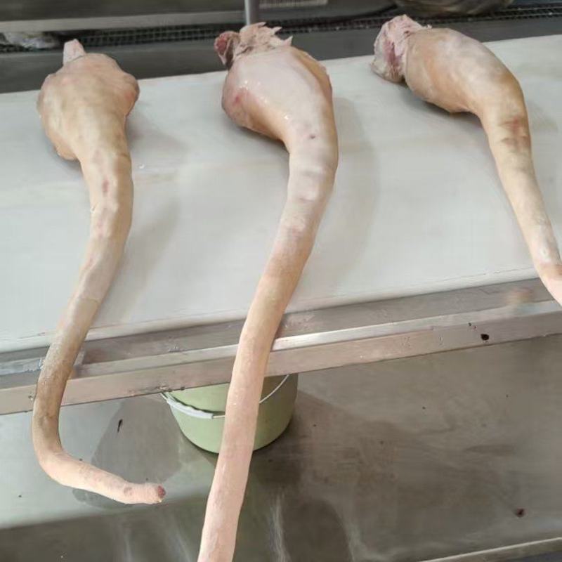 带皮牛尾巴，牛尾巴