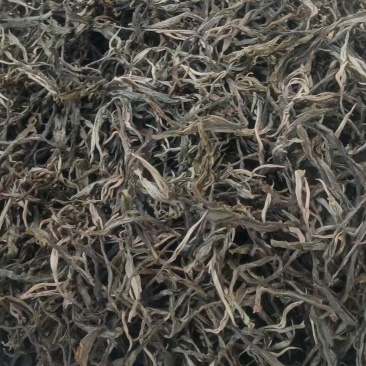 云南生态乔木普洱茶/产地直供/大量现货/通货/欢迎选购