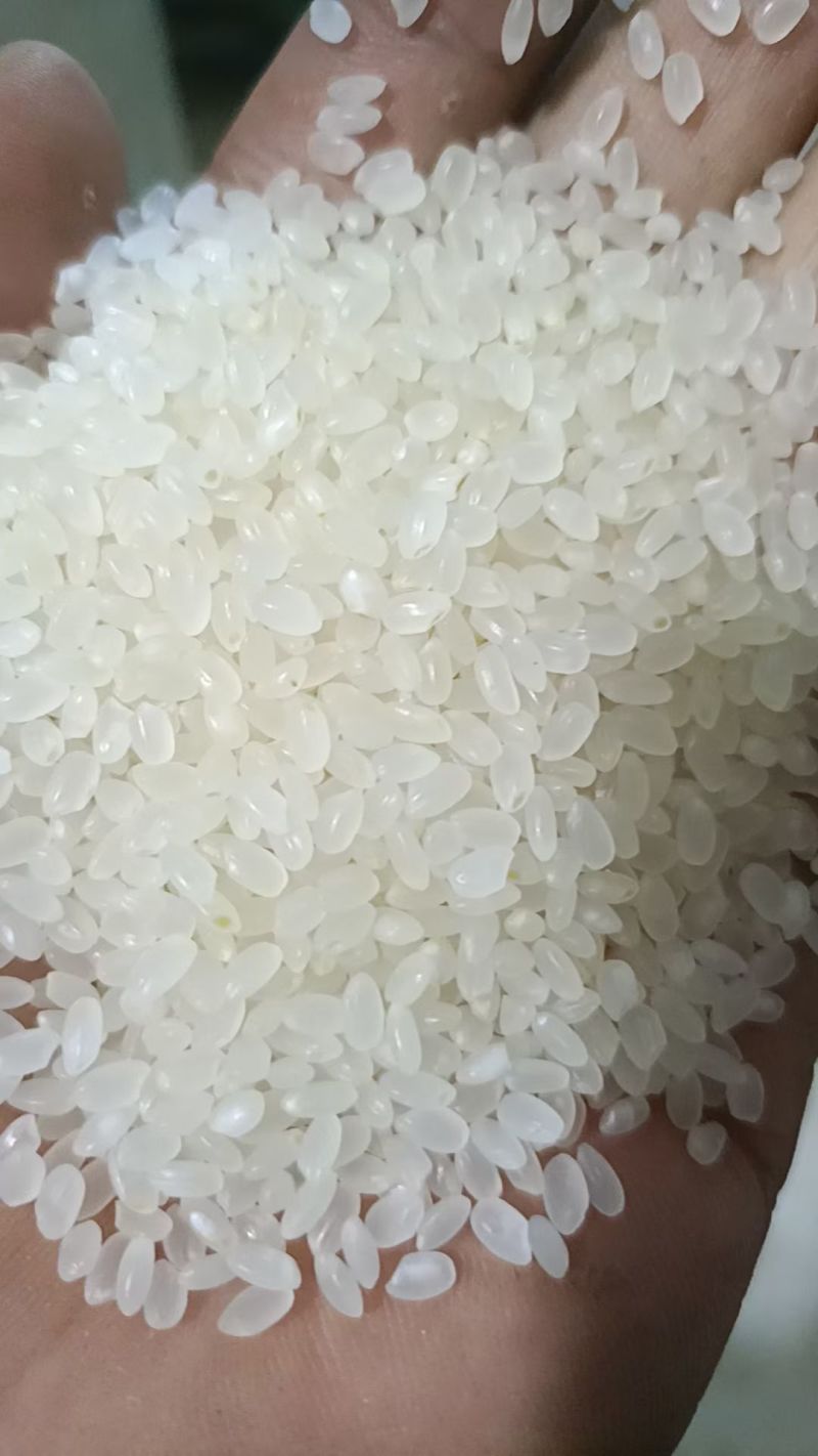 东北大米精品长粒香大米，绥粳18未色选大米，