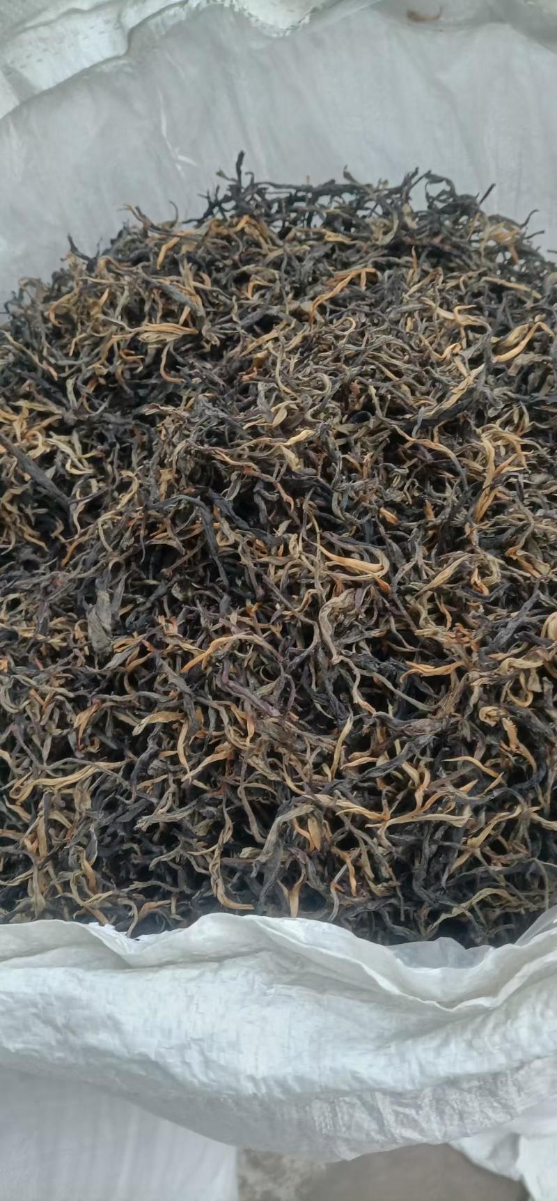 云南生态乔木普洱茶/产地直供/大量现货/通货/欢迎选购