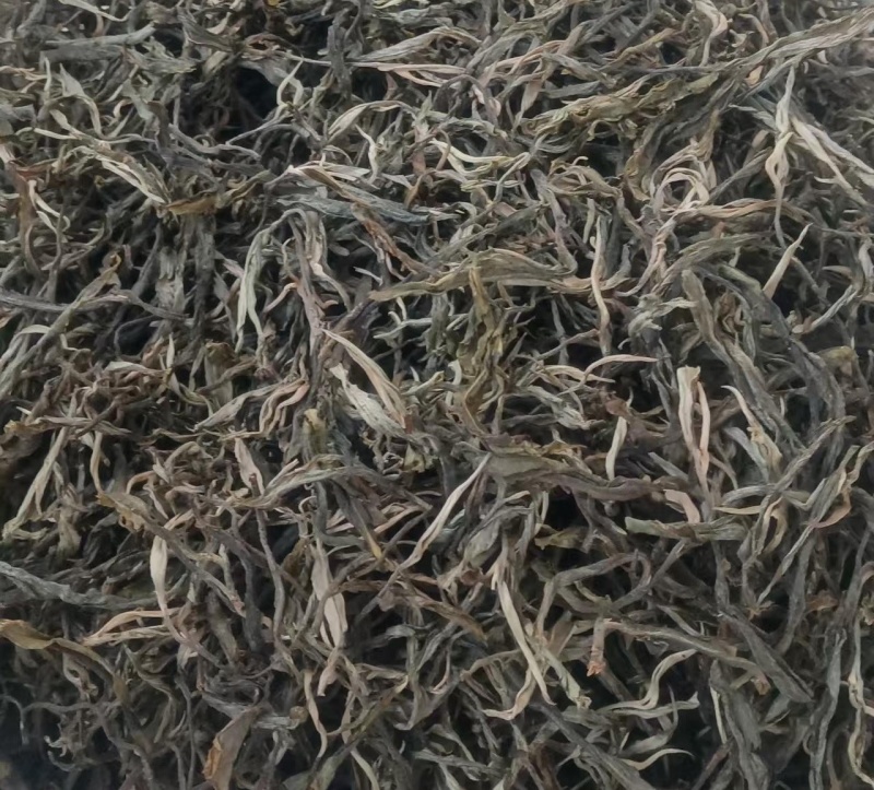 云南生态乔木普洱茶/产地直供/大量现货/通货/欢迎选购