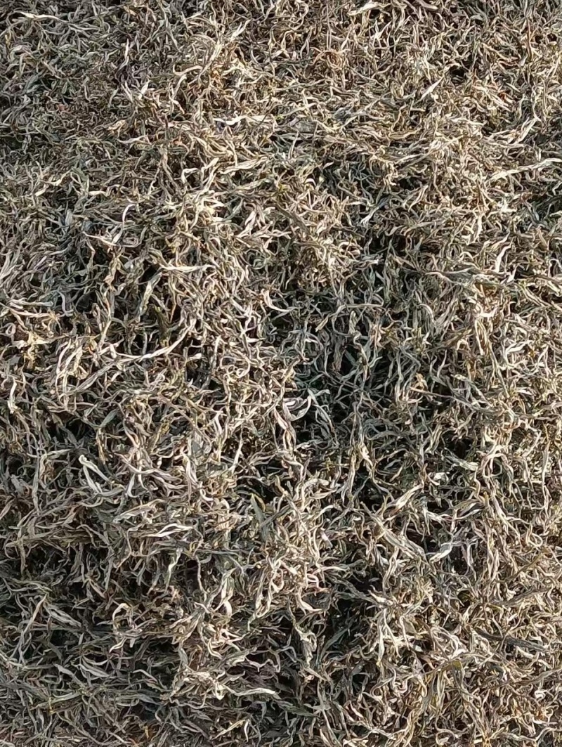 云南生态乔木普洱茶/产地直供/大量现货/通货/欢迎选购