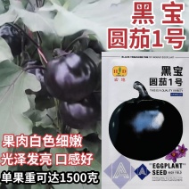 大果黑圆茄种子肉厚白色细嫩皮光滑高产大田播种圆茄种子耐运