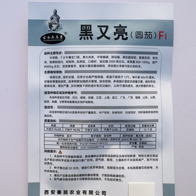 大果黑圆茄种子肉厚白色细嫩皮光滑高产大田播种圆茄种子耐运