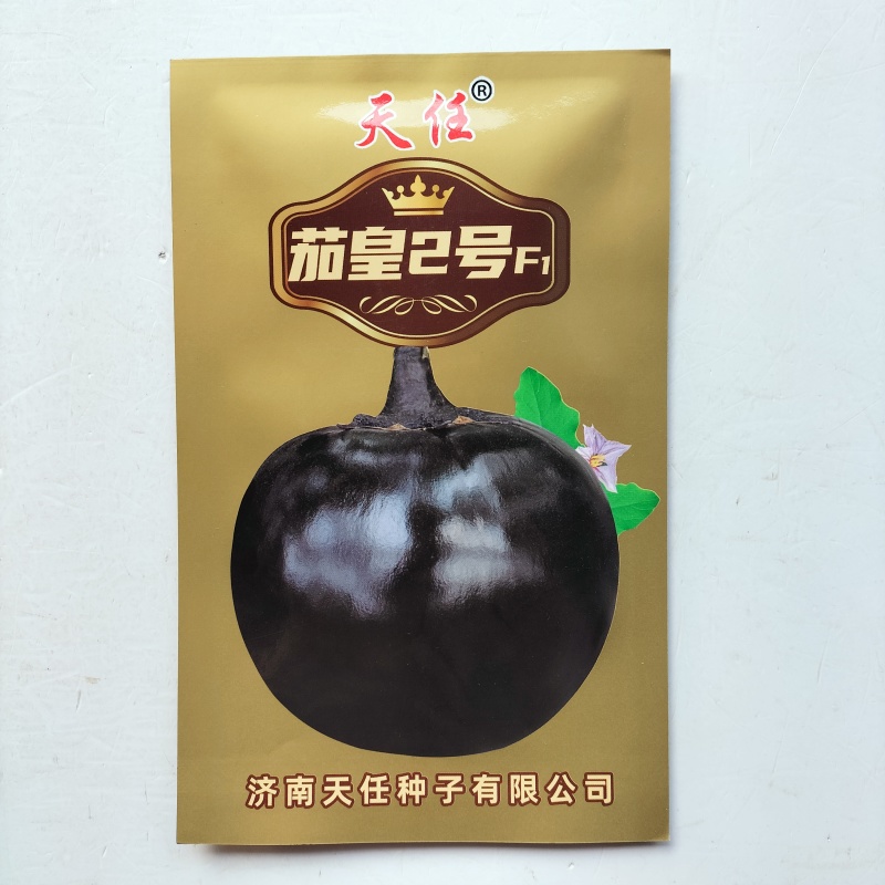 大果黑圆茄种子肉厚白色细嫩皮光滑高产大田播种圆茄种子耐运