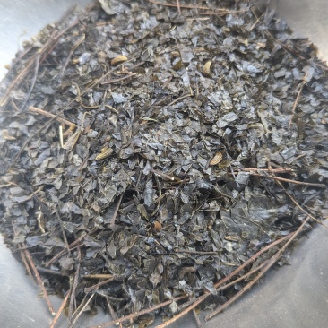 四川苦丁茶茶碎,茶末（少量带杆）