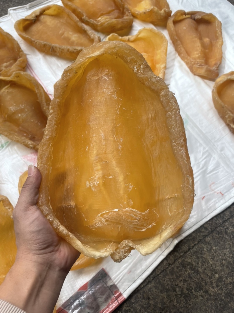 黄花胶，鱼胶，斗湖胶，斗湖公，赤嘴公，赤嘴，超大斗湖