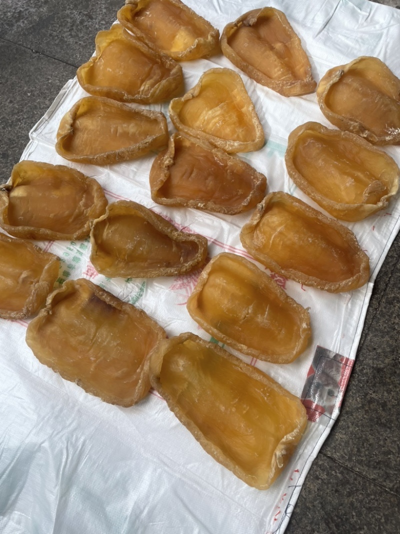 黄花胶，鱼胶，斗湖胶，斗湖公，赤嘴公，赤嘴，超大斗湖