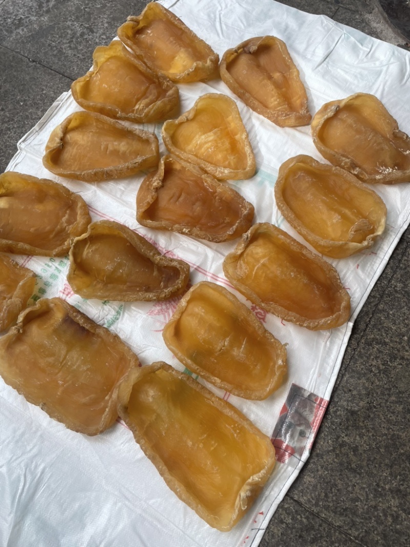 黄花胶，鱼胶，斗湖胶，斗湖公，赤嘴公，赤嘴，超大斗湖