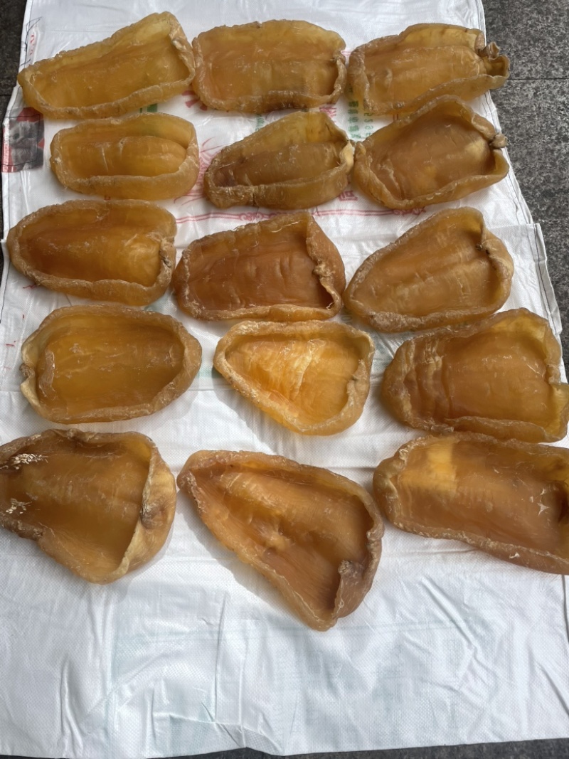 黄花胶，鱼胶，斗湖胶，斗湖公，赤嘴公，赤嘴，超大斗湖
