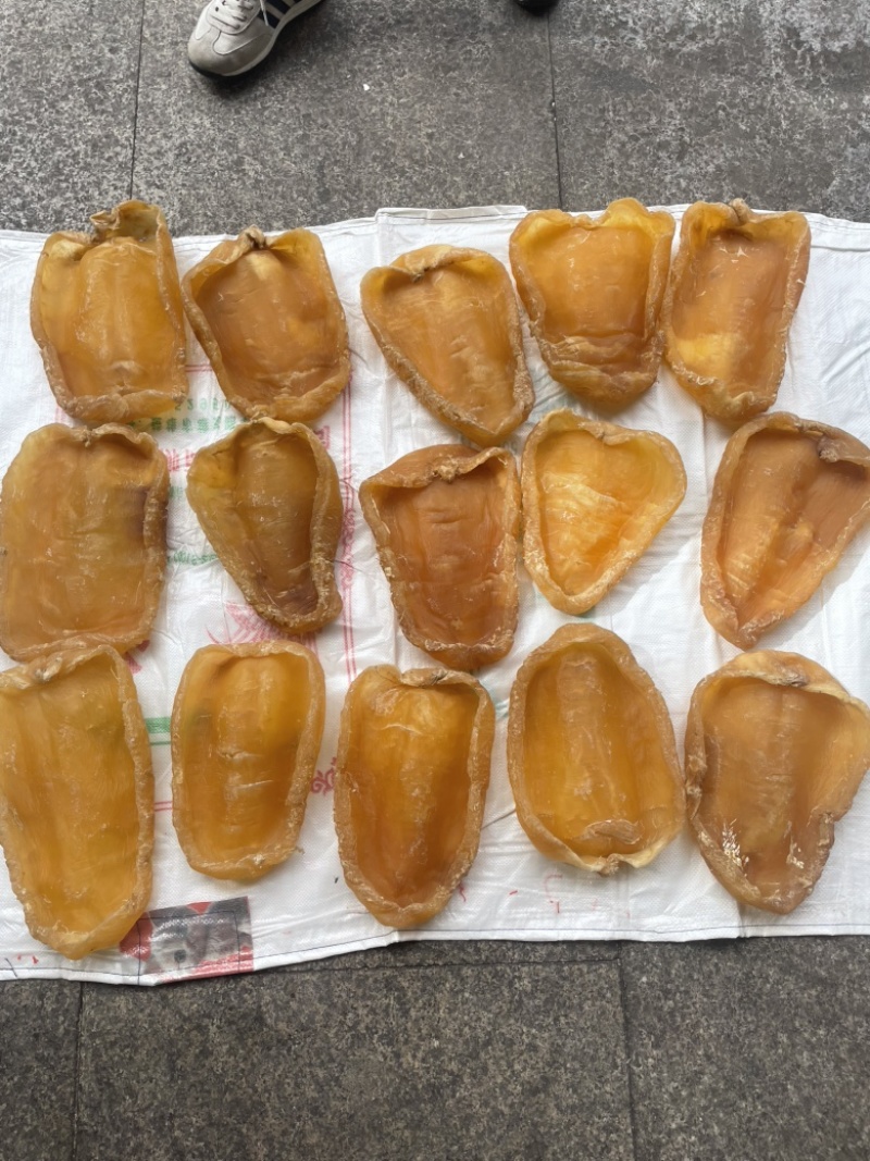 黄花胶，鱼胶，斗湖胶，斗湖公，赤嘴公，赤嘴，超大斗湖