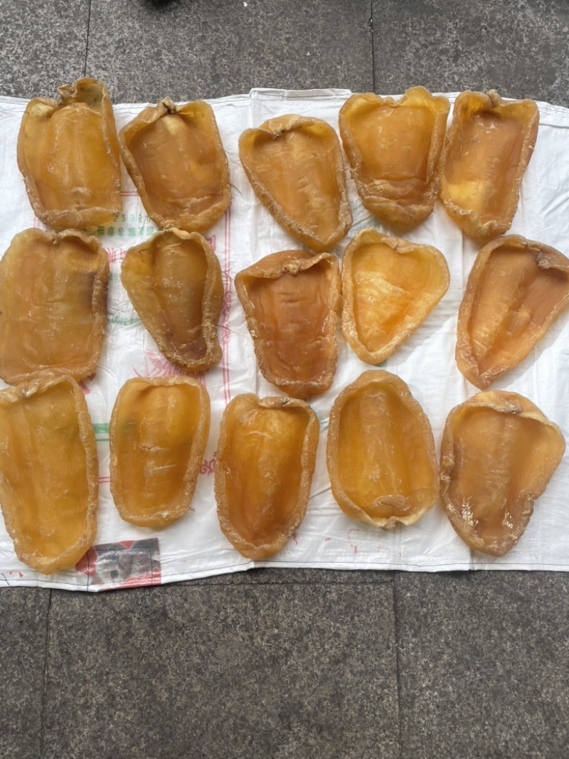 黄花胶，鱼胶，斗湖胶，斗湖公，赤嘴公，赤嘴，超大斗湖