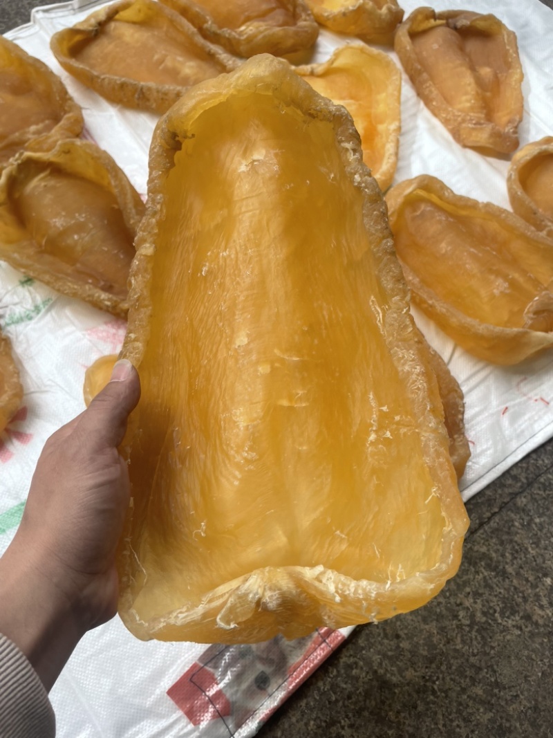 黄花胶，鱼胶，斗湖胶，斗湖公，赤嘴公，赤嘴，超大斗湖