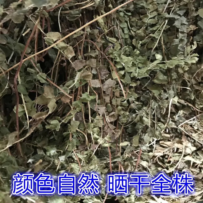 野团叶陵齿蕨圆叶鳞始蕨田螺掩金钱蕨月影草鱼鳞草