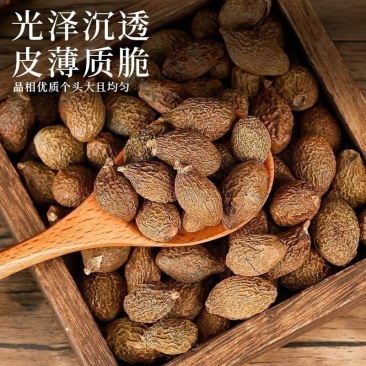 胖大海广西胖大海规格齐全无硫质量保证批发零售各种规