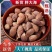 胖大海广西胖大海规格齐全无硫质量保证批发零售各种规