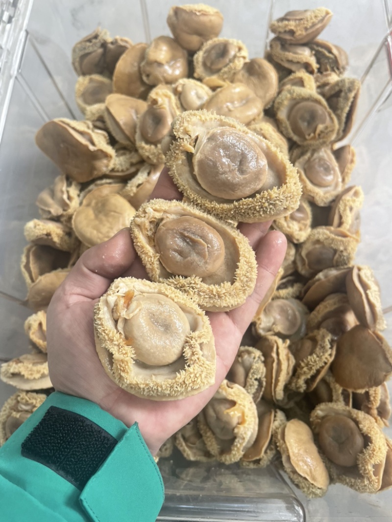 鲍鱼，干鲍，塘心鲍，大鲍鱼，酒店，会所，自用款