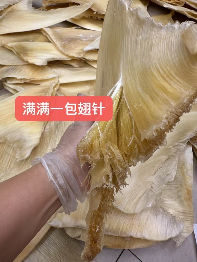 鱼翅，五羊翅，金勾翅牙捡翅茶勾翅青片翅沙青翅