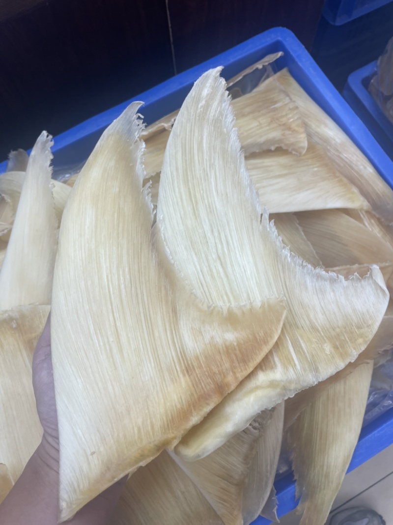 鱼翅，五羊翅，金勾翅牙捡翅茶勾翅青片翅沙青翅
