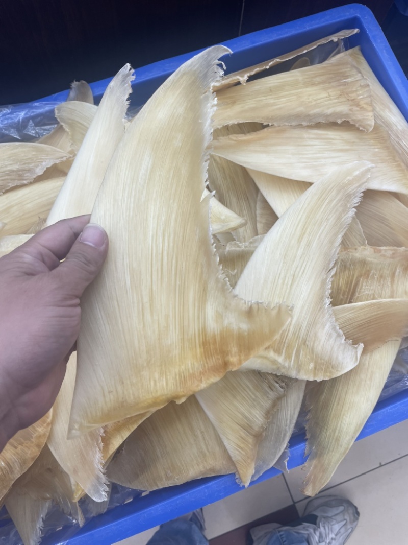 鱼翅，五羊翅，金勾翅牙捡翅茶勾翅青片翅沙青翅